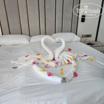 фото из отзыва ID 2738849