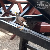 фото из отзыва ID 2738889