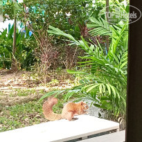 фото из отзыва ID 2738889