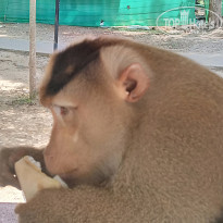 фото из отзыва ID 2738889