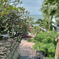 фото из отзыва ID 2738889