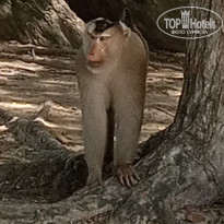 фото из отзыва ID 2738889