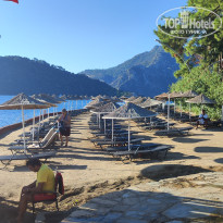 фото из отзыва ID 2738897