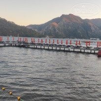 фото из отзыва ID 2738897