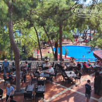 фото из отзыва ID 2738897