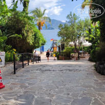 фото из отзыва ID 2738897