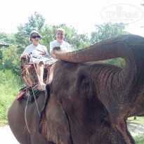 фото из отзыва ID 2738889