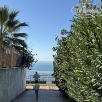 фото из отзыва ID 2738913