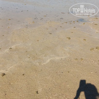 фото из отзыва ID 2738925