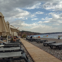 фото из отзыва ID 2737027