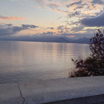 фото из отзыва ID 2737027