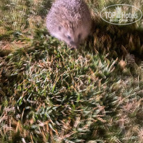 фото из отзыва ID 2738946