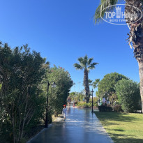 фото из отзыва ID 2735240