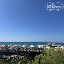 фото из отзыва ID 2738951