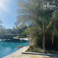 фото из отзыва ID 2738951