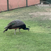 фото из отзыва ID 2738951