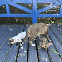 фото из отзыва ID 2738951