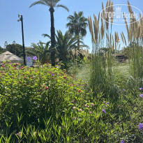 фото из отзыва ID 2738951