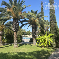 фото из отзыва ID 2738951