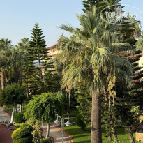 фото из отзыва ID 2738953