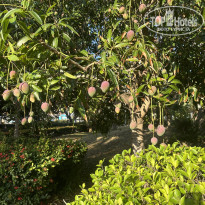 фото из отзыва ID 2738937