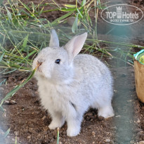 фото из отзыва ID 2738973