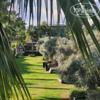 фото из отзыва ID 2738973