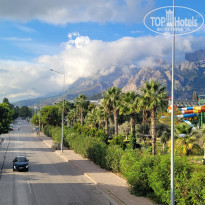 фото из отзыва ID 2738973