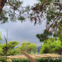 фото из отзыва ID 2738973