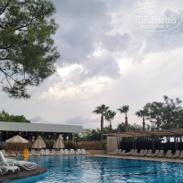 фото из отзыва ID 2738973