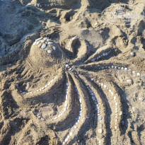 фото из отзыва ID 2738973