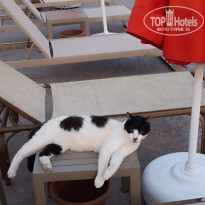 фото из отзыва ID 2738976