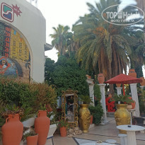 фото из отзыва ID 2738976