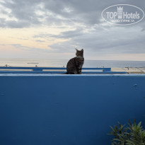 фото из отзыва ID 2738982