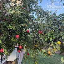 фото из отзыва ID 2738982