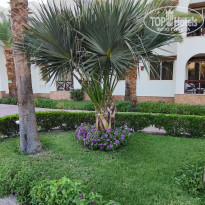 фото из отзыва ID 2738758