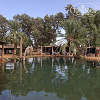 фото из отзыва ID 2739001