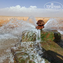 фото из отзыва ID 2739001