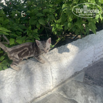 фото из отзыва ID 2739007