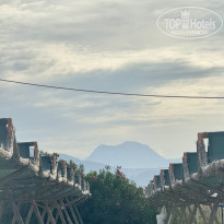 фото из отзыва ID 2739010