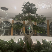 фото из отзыва ID 2739030