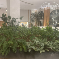 фото из отзыва ID 2739030