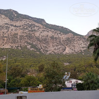 фото из отзыва ID 2739027