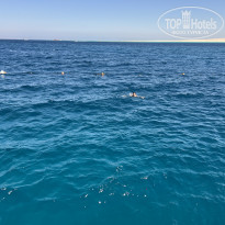 фото из отзыва ID 2739041