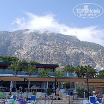 фото из отзыва ID 2739027