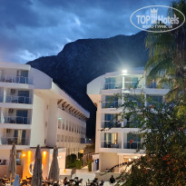 фото из отзыва ID 2739027