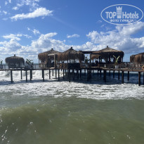 фото из отзыва ID 2739053