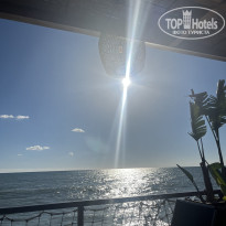 фото из отзыва ID 2739053