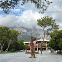 фото из отзыва ID 2739055