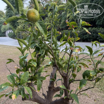 фото из отзыва ID 2739055